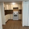 One-Bedroom Apartment in Cranbrook | $950/month